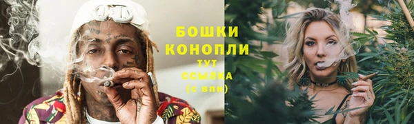 эйфоретик Баксан