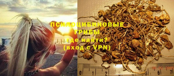 эйфоретик Баксан