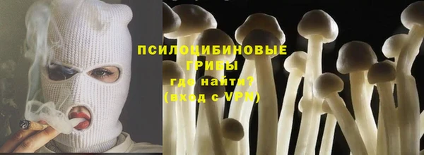 эйфоретик Баксан
