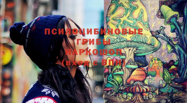 кристаллы Бикин