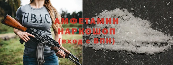 прущие грибы Гусиноозёрск