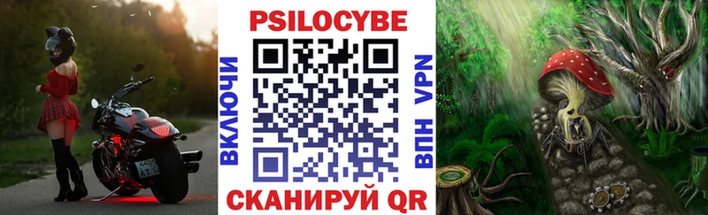 Галлюциногенные грибы GOLDEN TEACHER  наркота  KRAKEN как зайти  Каргат 